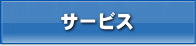 �T�[�r�X